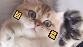 主人买了一个网上很火吹泡泡神器,猫咪的反应超搞笑
