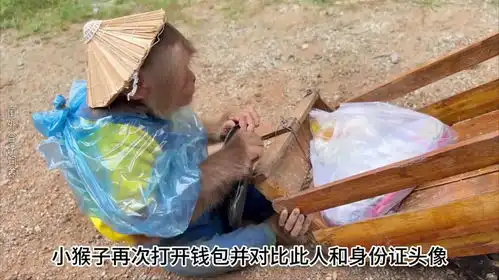 小猴子的钱包差点被抢了,太好玩了
