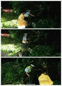 强台风妮妲登陆广东地铁车厢堆满沙袋

