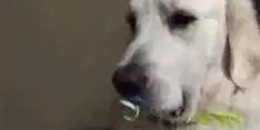 搞笑图片幽默段子笑话老哥,叫你别喝酒不听劝,摔倒了吧
