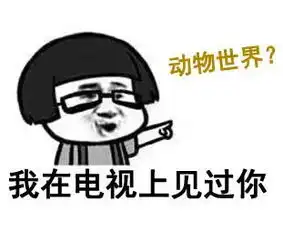 幽默笑话妈妈那天在书房门口喊儿子,你的鱼缸水都开了

