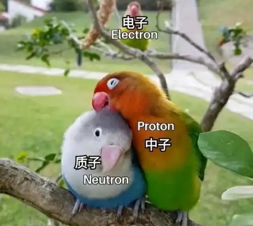 无标题
