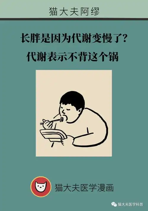 长胖是因为代谢变慢了代谢表示不背这个锅
