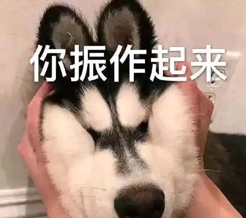 超搞笑句子,赶走你的不愉快,一定要看一看
