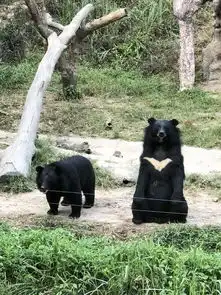 泰国游记

