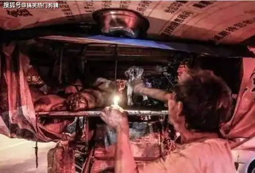 拾荒老人收养流浪狗,从不忍心饿它们肚子,暖心举动感动众人
