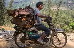越南极限摩托遁地串巷无所不能只有你想不到,没有它运不了

