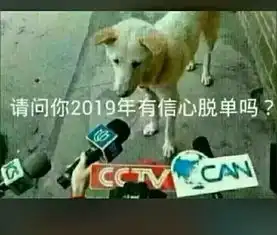 开心时刻估计我坟头草都割了十几茬了

