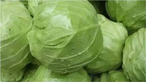 家里还在吃卷心菜的注意,好多家庭不当回事,别等到吃亏才后悔
