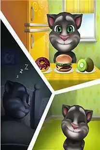 mytalkingtom
