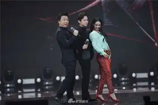 组图2017新浪微博之夜现场黄渤蔡依林何炅爆笑尬舞
