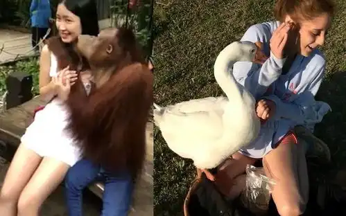 幽默图片这些年被动物强吻的妹子们,妹子内心是崩溃的
