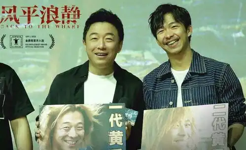 巅峰已过的黄渤还能演好什么角色
