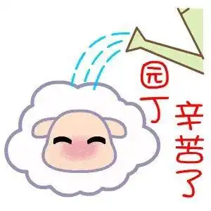 全城搜问,这是厦门哪位神兽的老师
