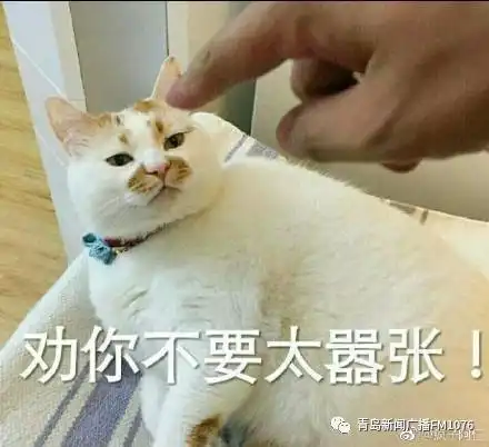 吃水果减肥老农用水果喂猪,1年长到900斤

