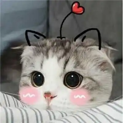 卡哇伊的可爱小猫卡通头像
