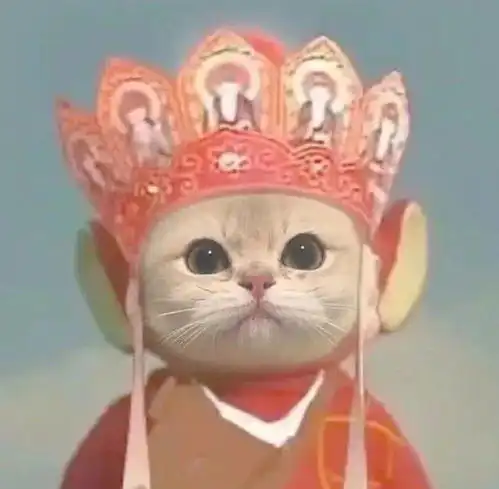 搞笑动图表情包搞笑可爱文案
