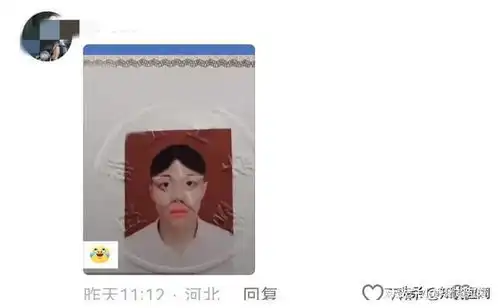 网友晒跳水队抽象海报,全红婵已经刷到了谢谢,无奈又搞笑
