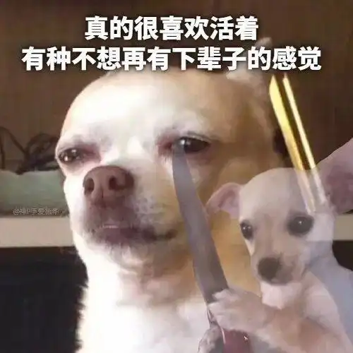 真的很喜欢看这种搞笑图,有一种在身上安装摄像头的感觉
