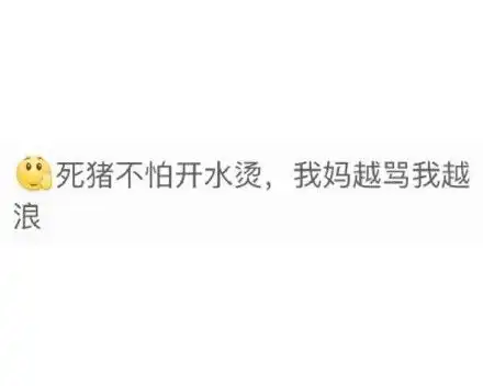 最新版搞笑的文字图片大全过年如何防止与老妈发生冲突
