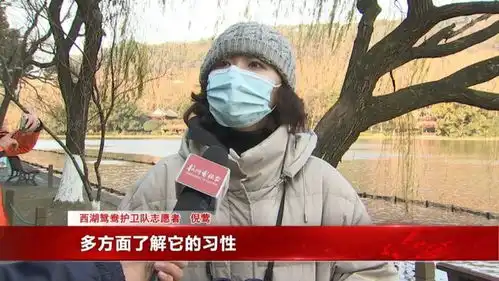 终于搞清楚了西湖里的鸳鸯
