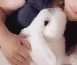搞笑gif趣图这姑娘以后肯定能生儿子
