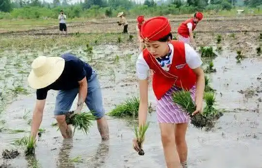 搞笑gif图男人化妆都可以这么漂亮,让我们女人情何以堪
