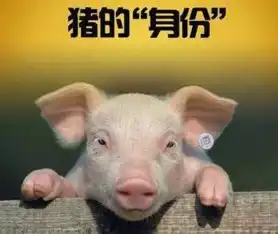 为什么金融ai要做猪脸识别
