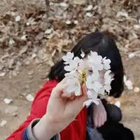 文艺带真的花朵小清新女生头像
