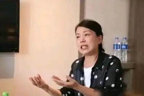 熊磊深夜隔空喊话许敏停止互相伤害,网友简直谎话连篇
