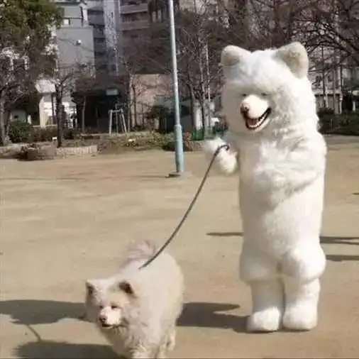 轻松一下宠物搞笑图片大赏
