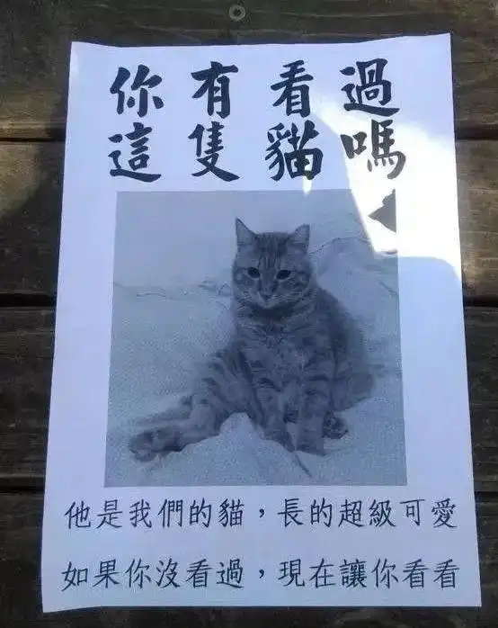 7张搞笑图片,你能坚持到第几个不笑
