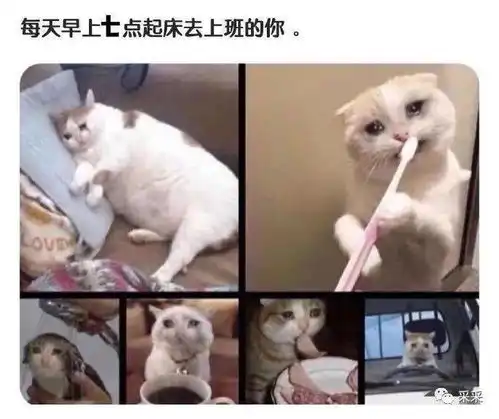 出门在外,一定要保护好女朋友搞笑囧图
