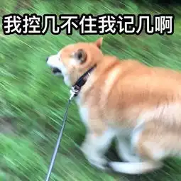 日本逝世柴犬超萌表情包永远活在我们的微信中
