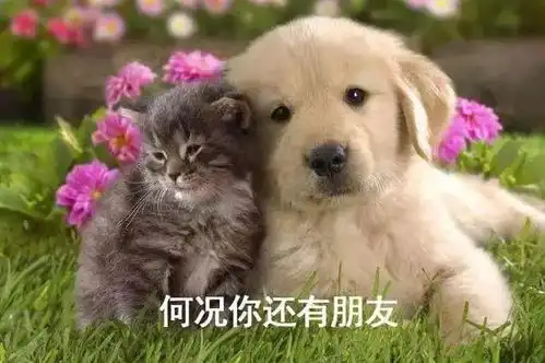 致昨天的,今天的明天的你
