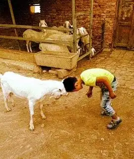 搞笑gif,,这什么沙雕图啊
