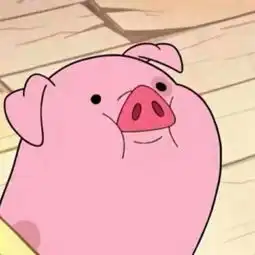 这只猪是什么
