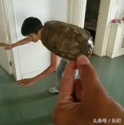 搞笑图片哥们嘴巴真大,连长颈鹿也能吞下去
