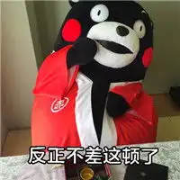 熊本熊搞怪带文字的表情包你为什么会成为胖纸
