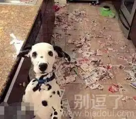 奇葩图片笑话搞笑奇葩图片精选爆笑奇葩图片大全第100页别逗了
