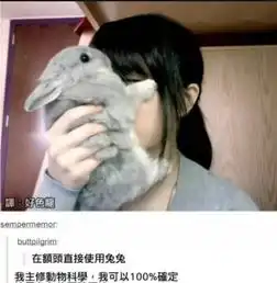 搞笑gif姑娘放过这家店吧,厨子快要累死了
