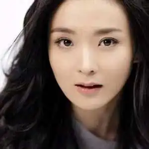 傅艺伟朱琳陈红王艳无整容时代绝美佳人组图
