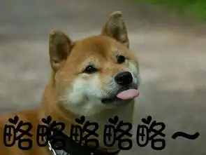 在这张图片上面加字略略略略略p得好看一点,这只狗吐舌头的字体萌一点
