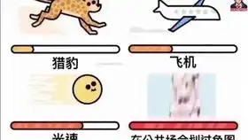 前方高能,盘点网络上搞笑的沙雕图片

