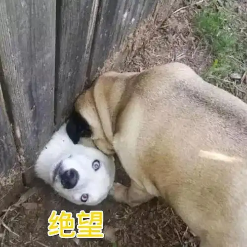紧急明天,菏泽人请提前1小时出门
