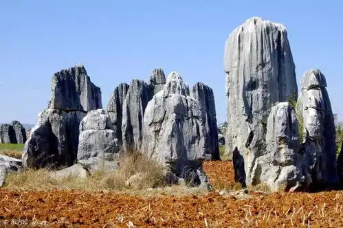 云南10大旅游景点,附春节云南旅游线路
