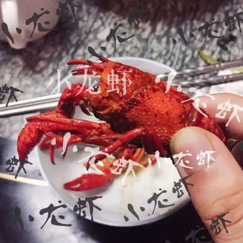 探店吃小龙虾的人已经在炫耀了,你还不来锦鼎吃虾内含福利
