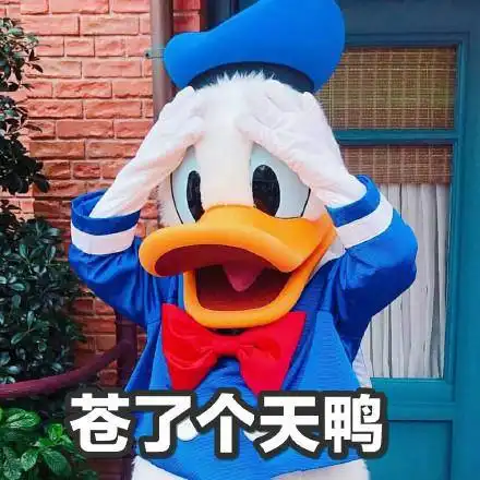 唐老鸭表情包大全54p
