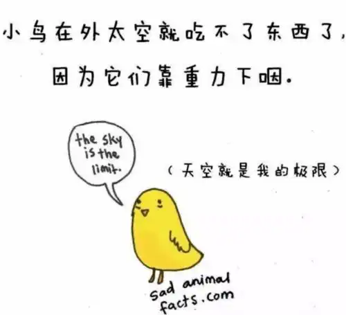 有趣的冷知识,一天好心情从此开始
