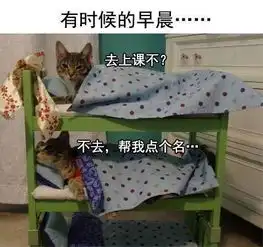 一组搞笑的你和你的室友图片开学季搞笑图片室友篇
